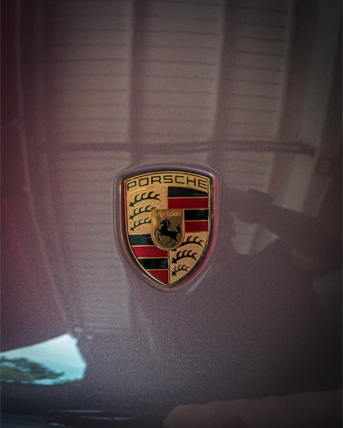 Close-up of clean, polished paint and badge